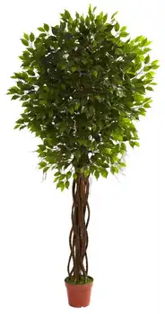 Изкуствено дърво, ficus устойчив на uv радиация (вътре/вън) Изображение